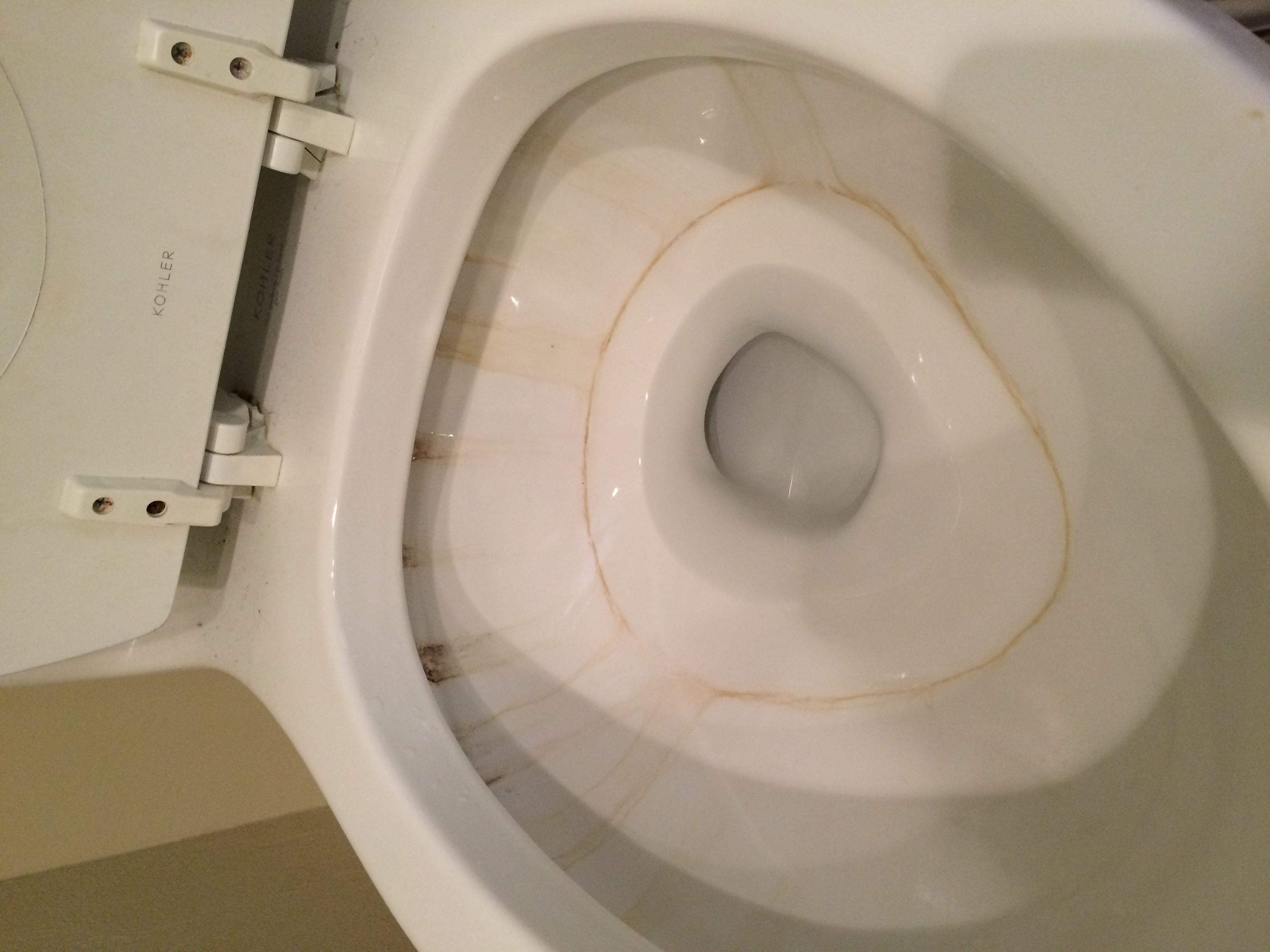 How to Clean Lime and Rust Deposits In Your Toilet Bowl  Smart